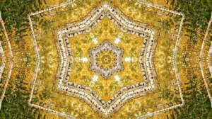 Осенний калейдоскоп