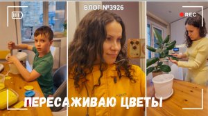 Пересаживаю цветы | Делаем фигурки из гипса | У нас гости!  - ВЛОГ №3924 - 26.04.26