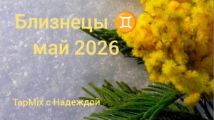 Близнецы ♊, май 2026