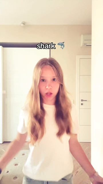 акула🦈
