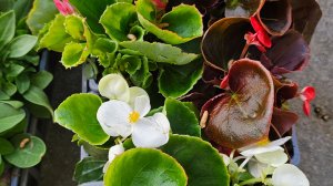 14-16 апреля 2026. Сезонные работы в саду не заканчиваются