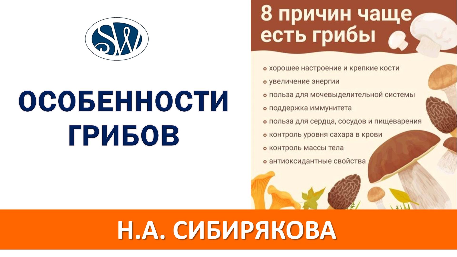 Особенности грибов