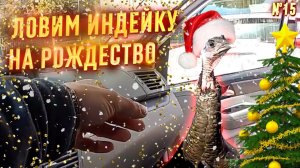 Все серии ! / Техтоник от Макса / К Кате на Рождество / Шоу Крумана 3.15