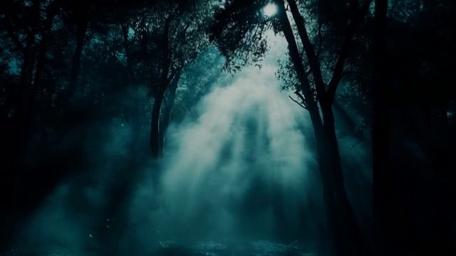 По секрету всему свету