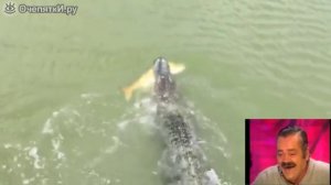 Зарубежная рыбалка /  Приколы на рыблке