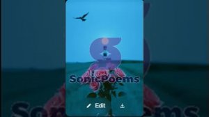 Сергей Есенин — Голубая да веселая страна