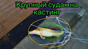 ПЕРВАЯ РЫБАЛКА С SHIMANO HARD ROCKER BB