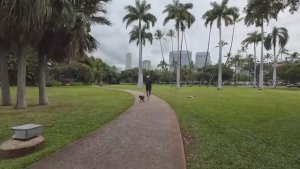 HAWAII_PEOPLE_🏖_3_5_Hours_Walking_on_the_Beach_and_Street_in_Waikiki