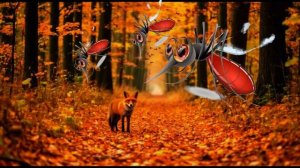 ЛЕГЕНДА О ЧЕРНОМ ЛИСЕ