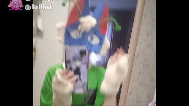 Я теперь квадробер ?