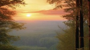 хз что писать наверное кто был прошлой ос