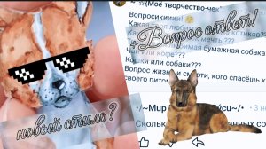 Новый стиль? Ремонт в домике? Вопрос ответ!