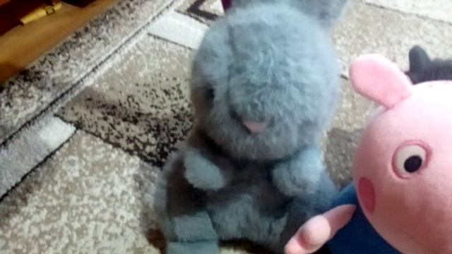 4 серия! Школа животных 🐈⬛🐁🐈. Вызвали скорую!😱😱😱 Всё встало на своих местах!!🤗