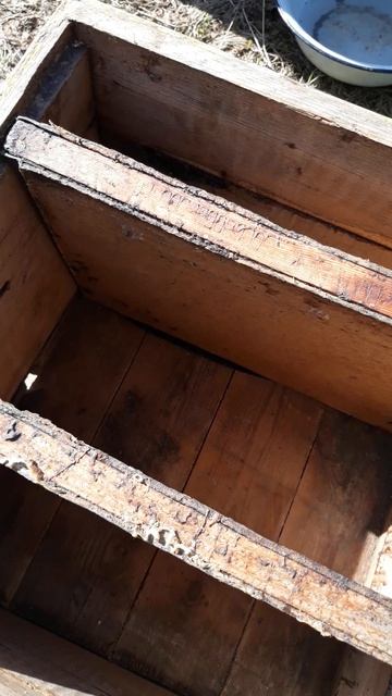 Тройник выжил