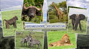 НГОРОНГОРО