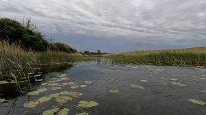 Открытие сезона по щуке.