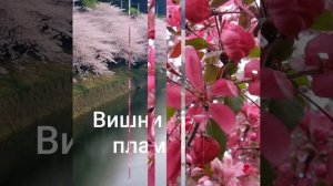 Премьера  Евгений Путилов