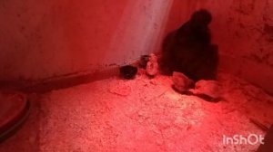 26-04-2026 Опять потери 🤦🫣