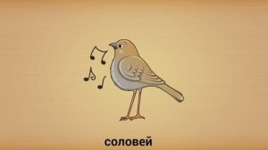 Мульт-развивашка, детский познавательный мультфильм, видео-головоломка.