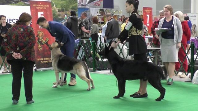 Сравнение рабочего класса