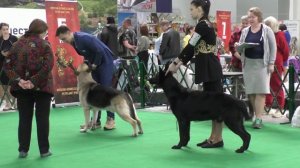 Сравнение рабочего класса