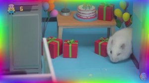 Умный хомяк все лабиринты! Испытание ума! часть 1