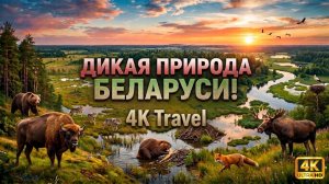 БЕЛАРУСЬ 4K | Последний первобытный лес Европы | Документальный фильм. Дикая природа.