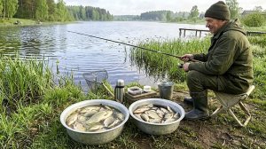 Как только это дерево распустится весной  у карася начинается лютый жор! Ориентир жора карася.