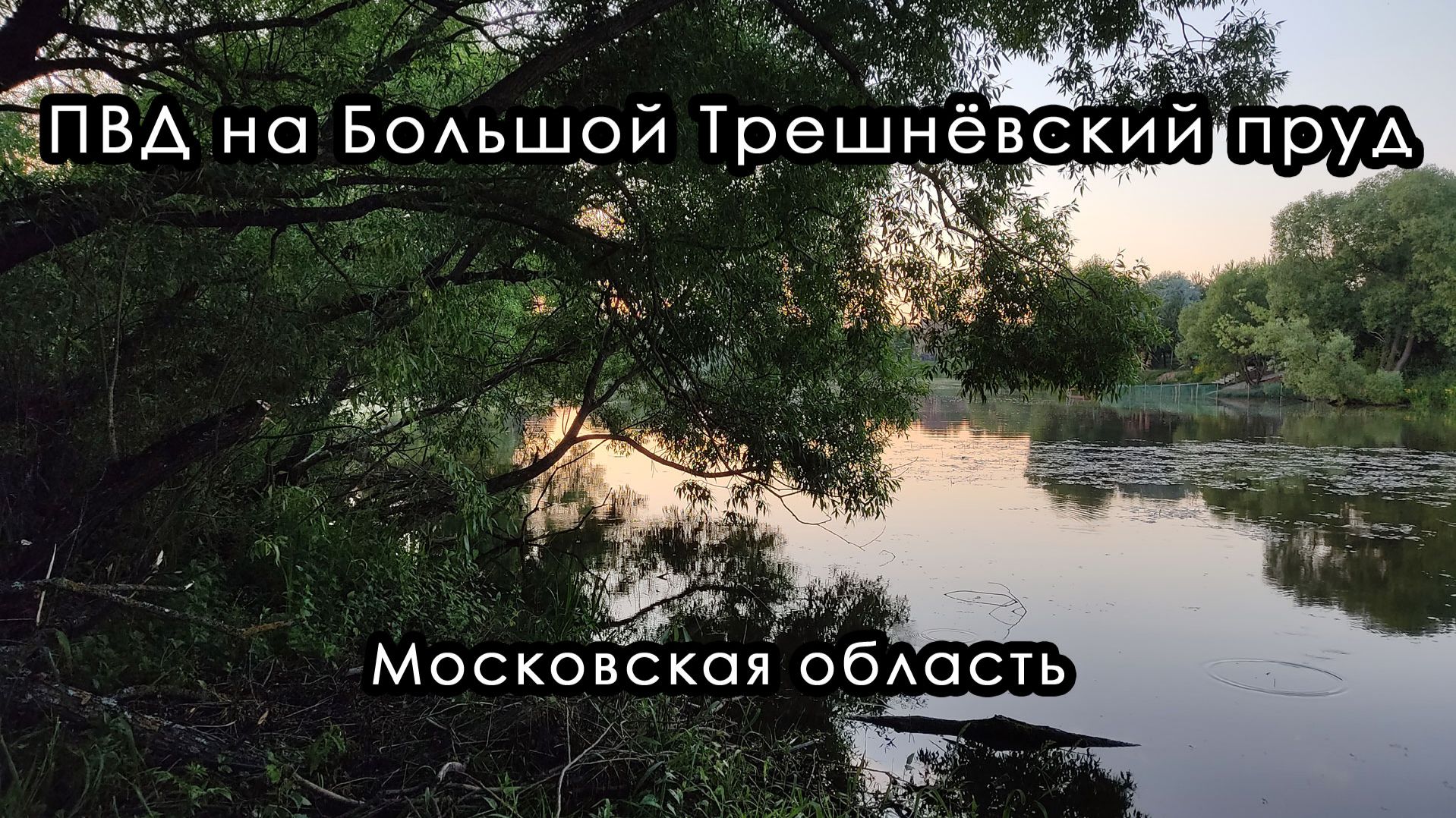 Поход на Большой Трешнёвский пруд. Московская область.