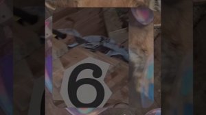 1000057100.mp4 (Собака наблюдает за устройством лестницы на 2-ой этаж в доме А-фрейм)