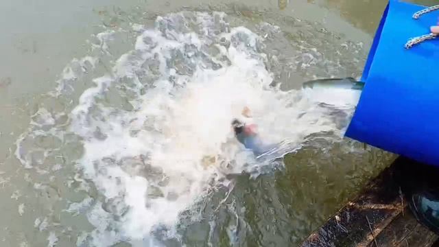 Запуск от 26.04.26