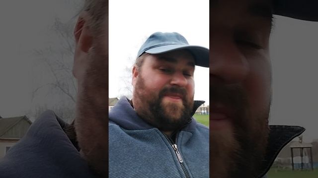 сколько стоит пчеловодство