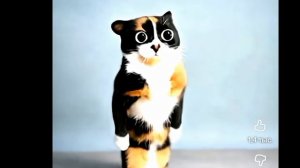 Эдит не мой