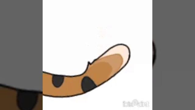 у меня новая вторая ОС!! её зовут 
Листопадовая тень, теперь я делаю на её окрас обзор