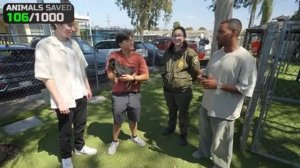 Я Спас 1000 Животных От Гибели Мистер Бист