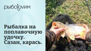 Рыбалка на карася и сазана на поплавочную удочку весной 2026 года.