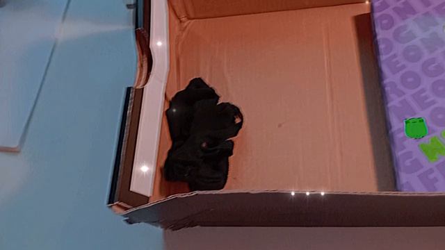 ❤️Я вернулась! (новости)❤️