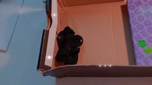 ❤️Я вернулась! (новости)❤️