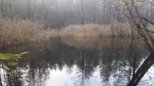 Ловля живца на экран Установка жерлиц