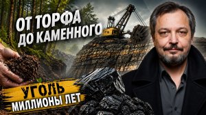 ПОЧЕМУ УГОЛЬ БОЛЬШЕ НЕ ОБРАЗУЕТСЯ? Эволюция полезных ископаемых