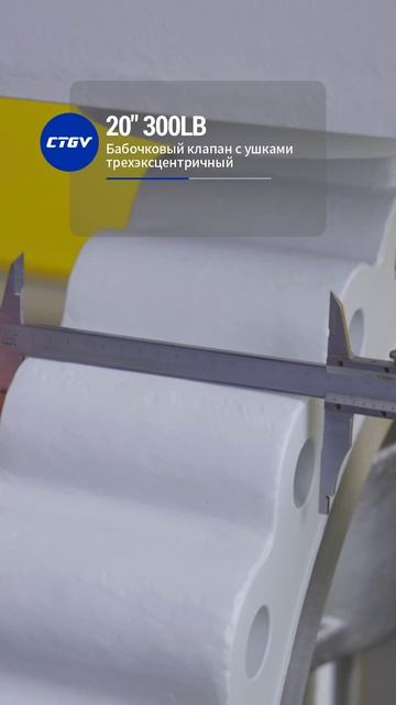 20''300LB Поворотный дисковый клапан с ушками и тройной эксцентриситетом-CTGV-2