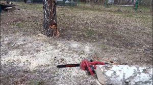 25 апреля дали свет на участке 2026г.