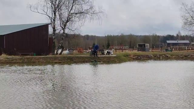 ещё одна форель в подсаке
