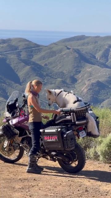 Motorcycle •[ЕКБ] МОТО• Любовь к мотоциклам начинается здесь! (13)