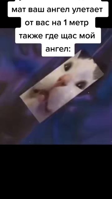 Видео из тик тока. :з