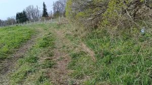 ЭВС1 Москва Санкт Петербург