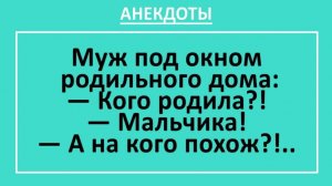 Муж под окном родильного дома: Кого родила?... | Анекдоты смешные | Юмор