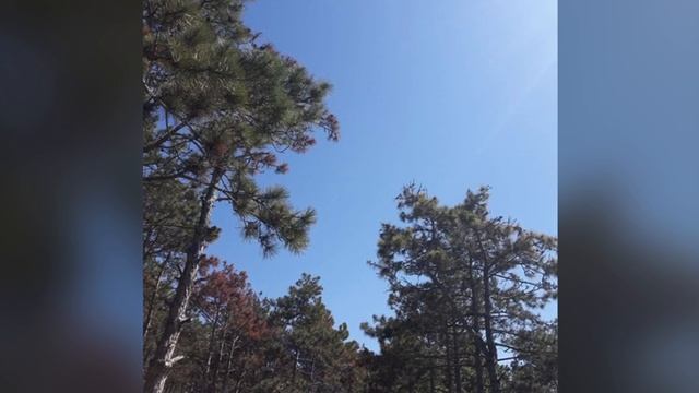 Красота природы