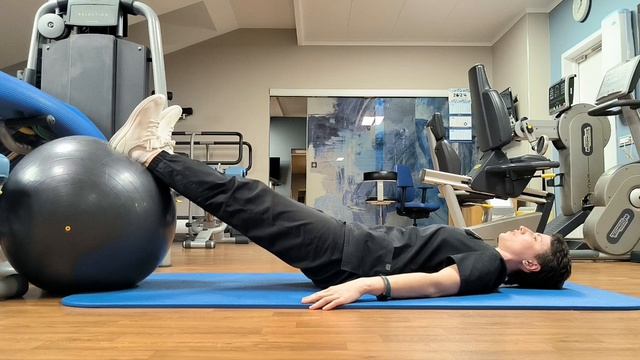 Тренировка на фитболе 1