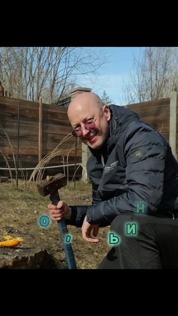 Привет апельсин пока апельсин